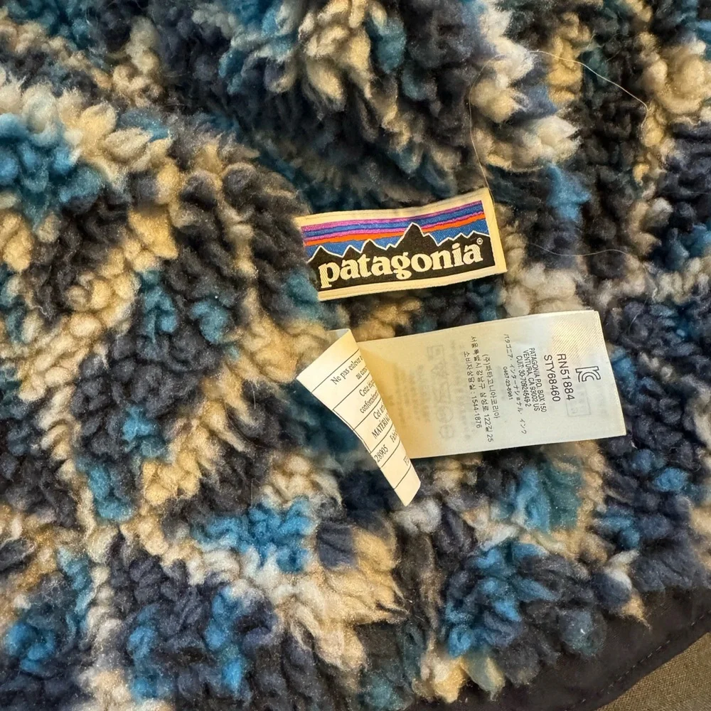 Patagonia boys lined